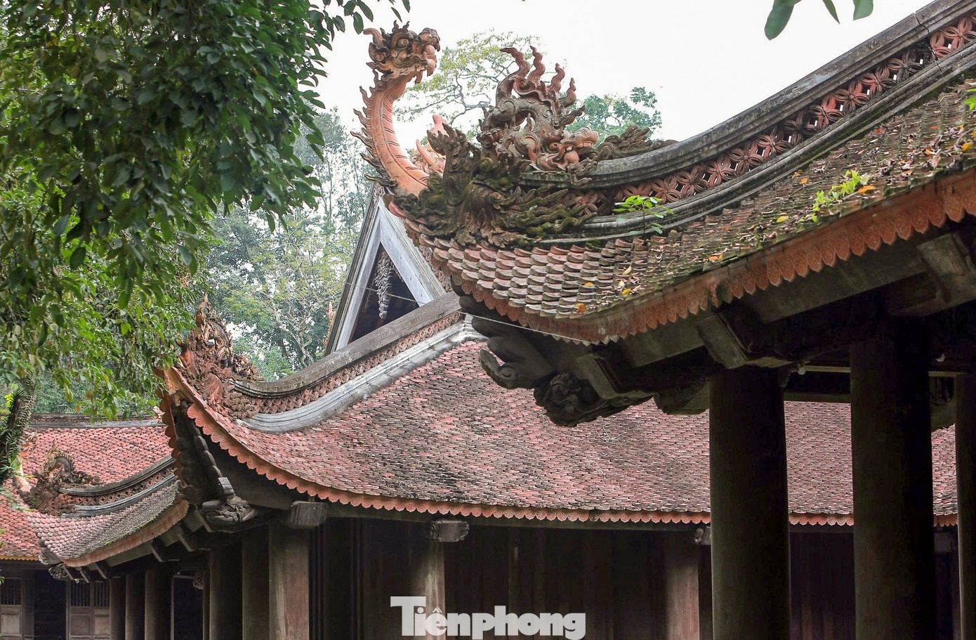 Lam Kinh ảnh 12 Lam Kinh anh 12