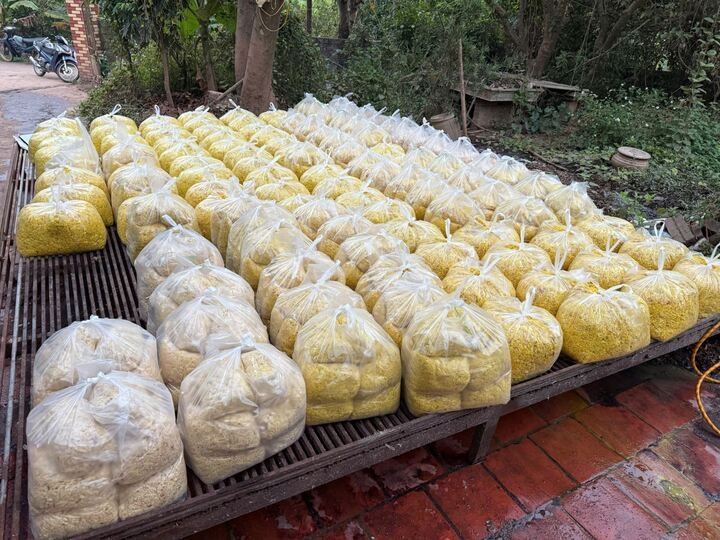 Tron chat gay ung thu vao gan 2 tan rieng xay ban ra cho o Bac Ninh hinh anh