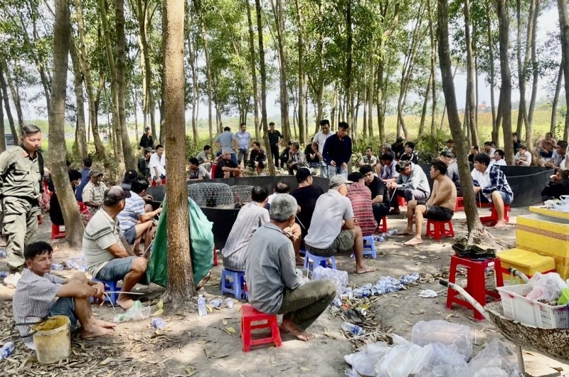 Truong ga trong rung an thua tien ty bi triet pha hinh anh