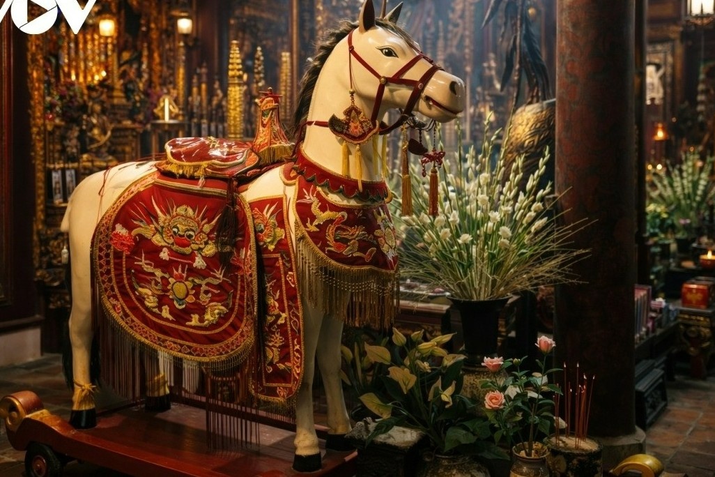 Giai ma hinh tuong ngua trong den phu hinh anh