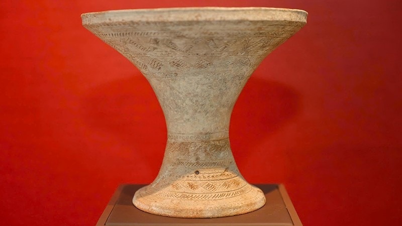 Thanh pho Ho Chi Minh co them hai Bao vat quoc gia hinh anh