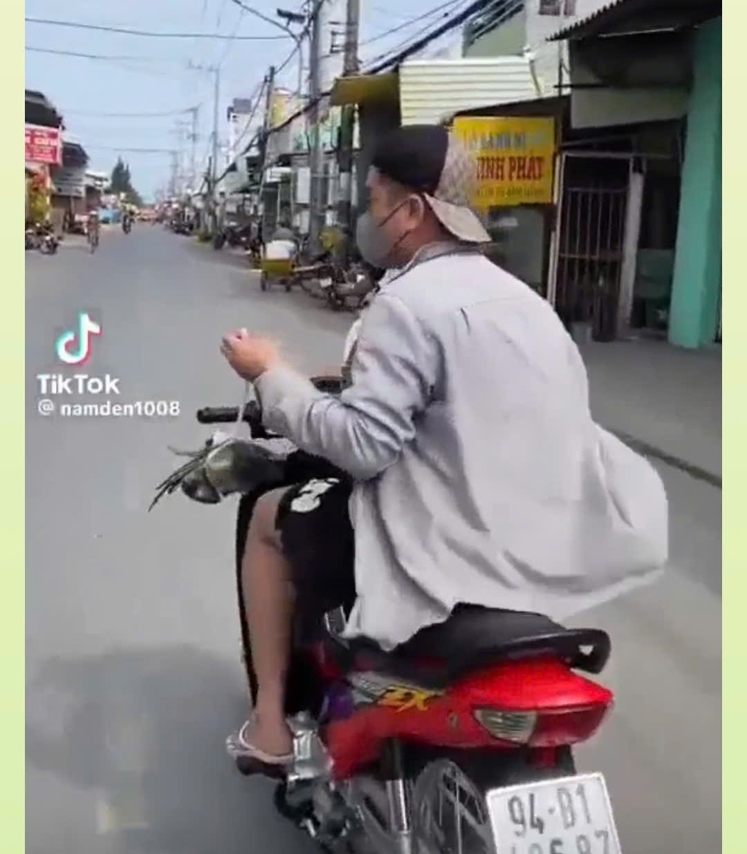 Cua Cà Mau ảnh 1 Cua Ca Mau anh 1