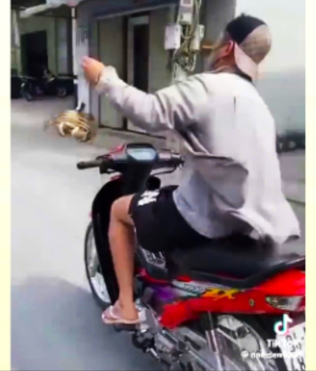 Cua Cà Mau ảnh 2 Cua Ca Mau anh 2