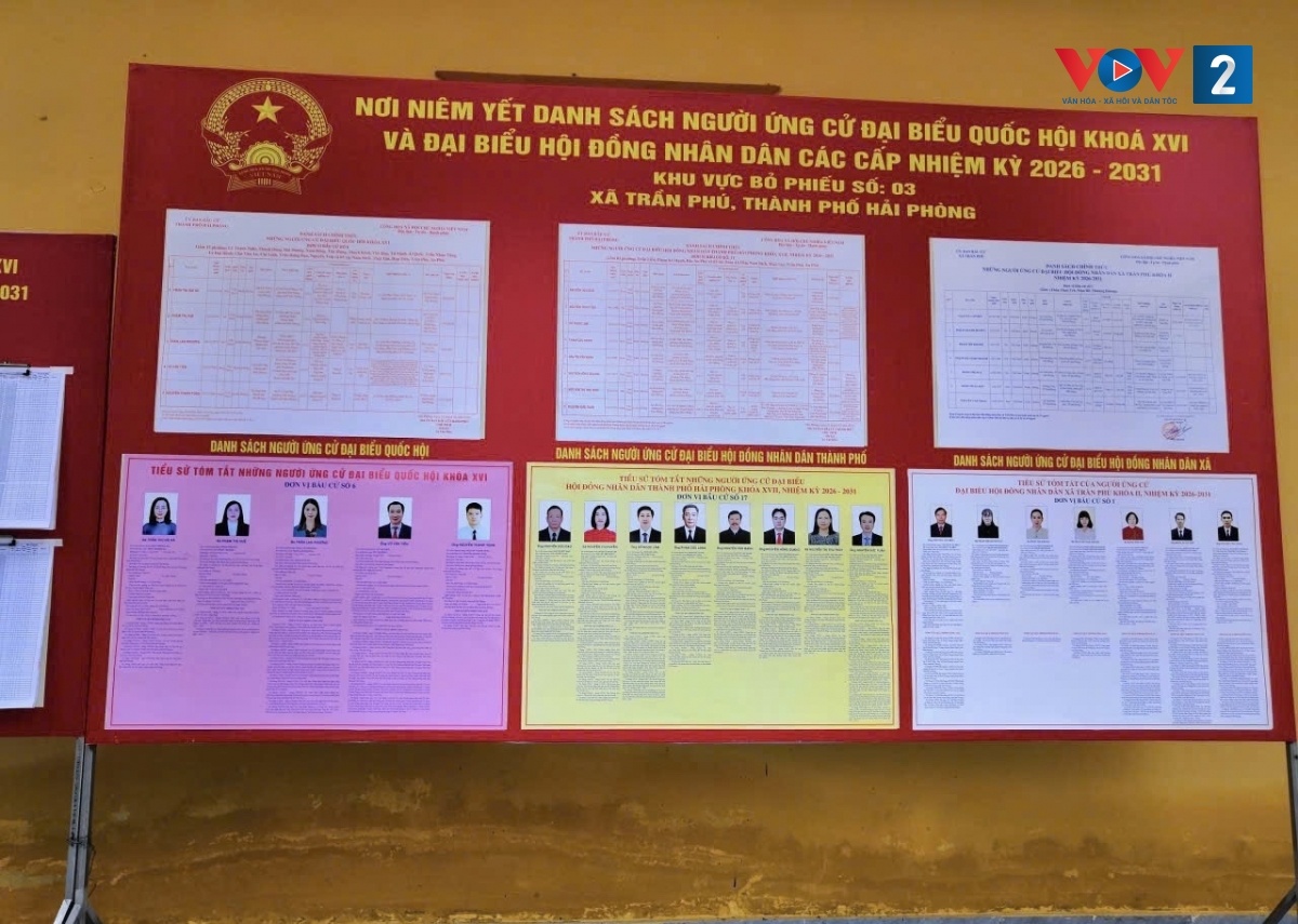 Da dang hinh thuc truyen thong san sang cho ngay hoi bau cu hinh anh