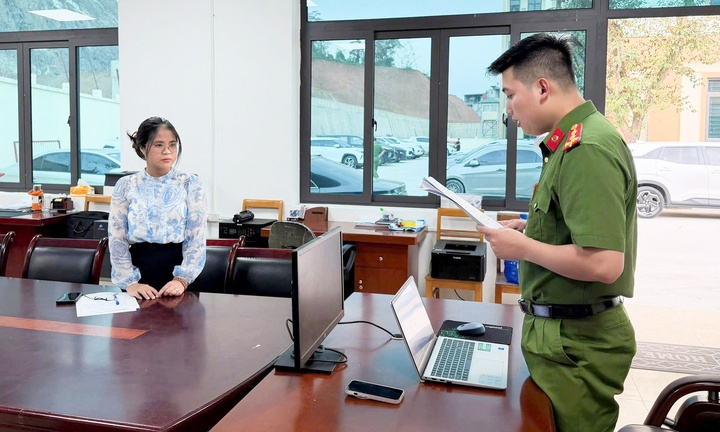 Nu giam doc Cong ty Healthy HKV bi khoi to them toi tron thue hinh anh