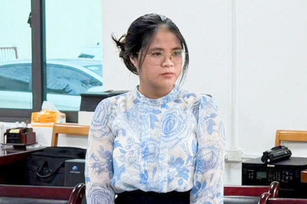 Nu giam doc Cong ty Healthy HKV bi khoi to them toi tron thue hinh anh