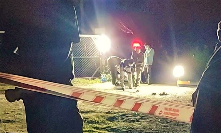 Cu ong o Gia Lai tu vong tren con duong gan nha hinh anh