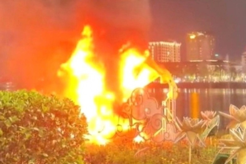 Linh vat ngua tai Cong vien Thuong Bac bat ngo boc chay hinh anh