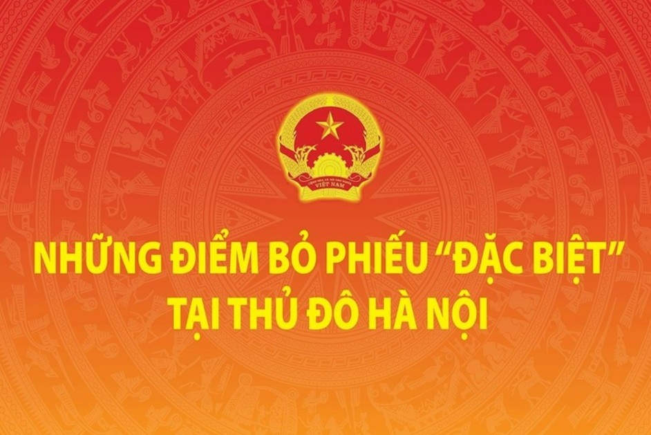 Nhung diem bo phieu dac biet trong ngay hoi non song tai Ha Noi hinh anh