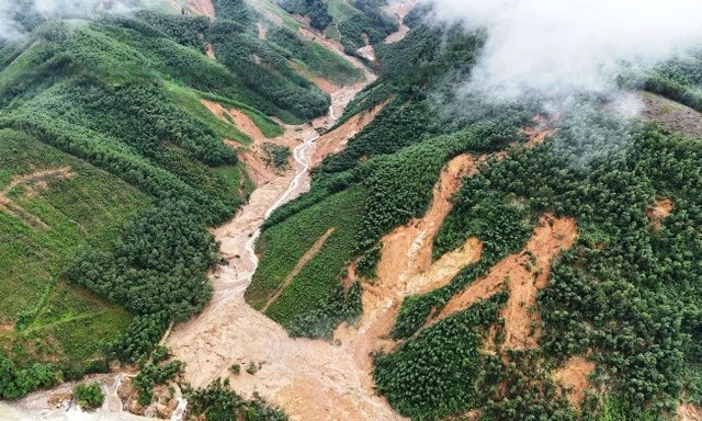 Bach Ma mua gan 500 mm chi trong mot dem hinh anh