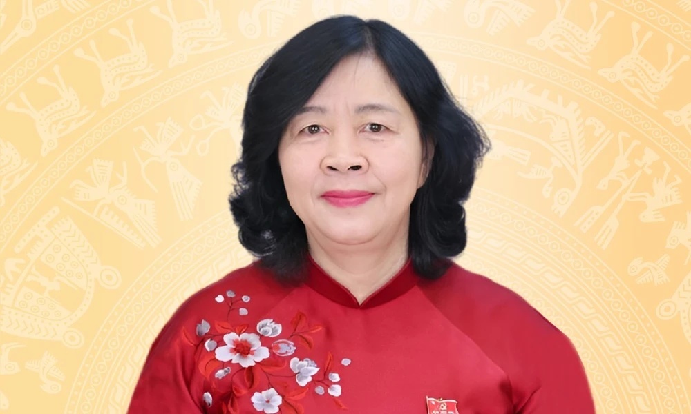 Ba Bui Thi Minh Hoai trung cu Dai bieu Quoc hoi khoa XVI hinh anh