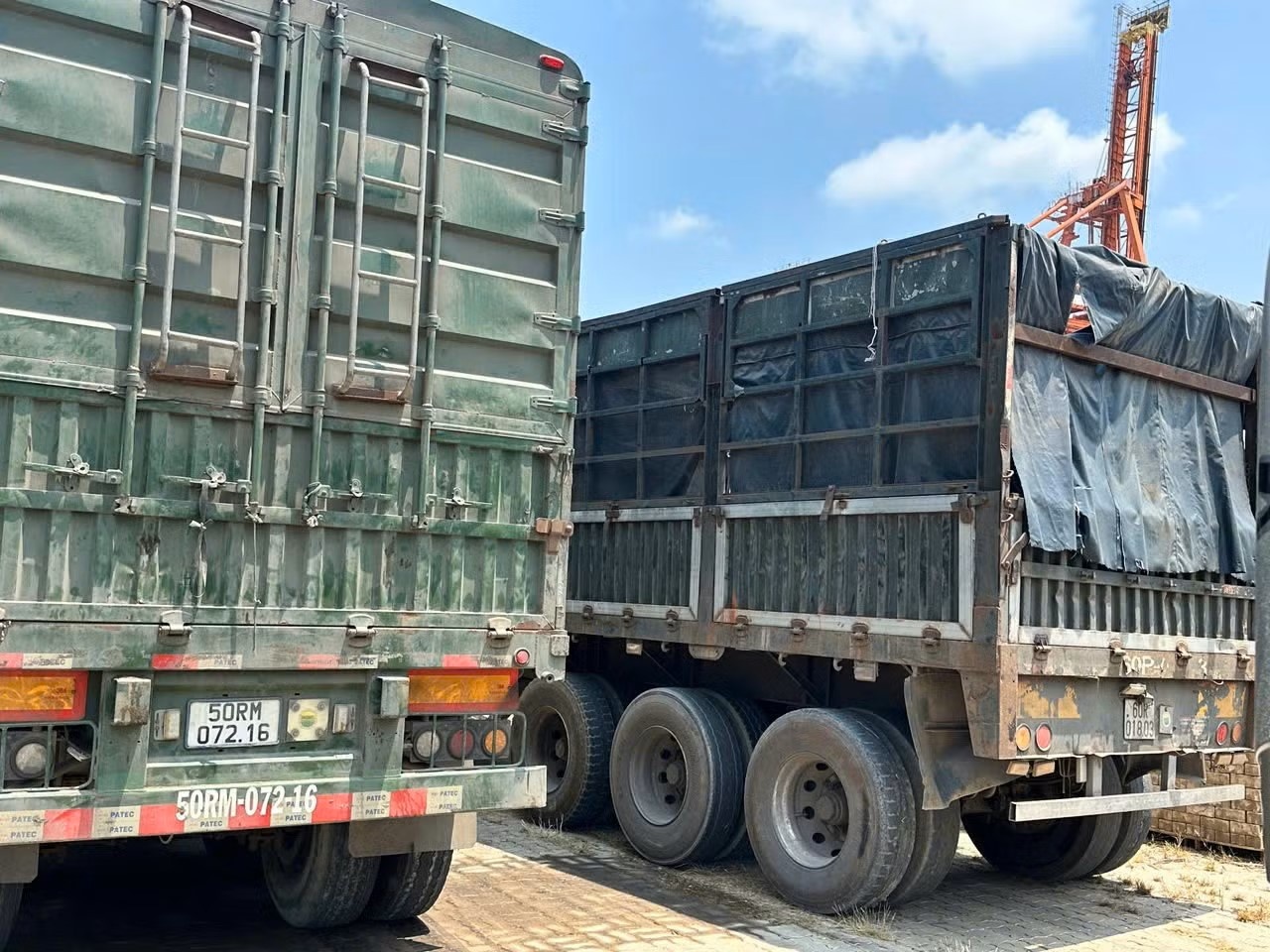 500 tan hat dieu anh 1