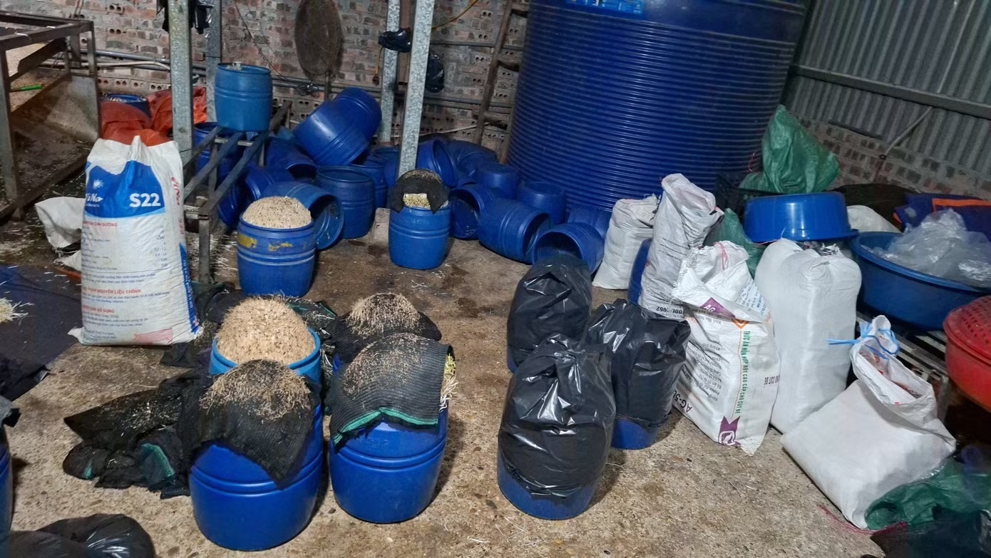 giá đỗ ảnh 3 gia do anh 3