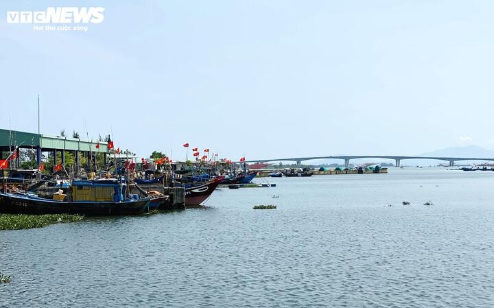 Cang ca Hong Trieu anh 2