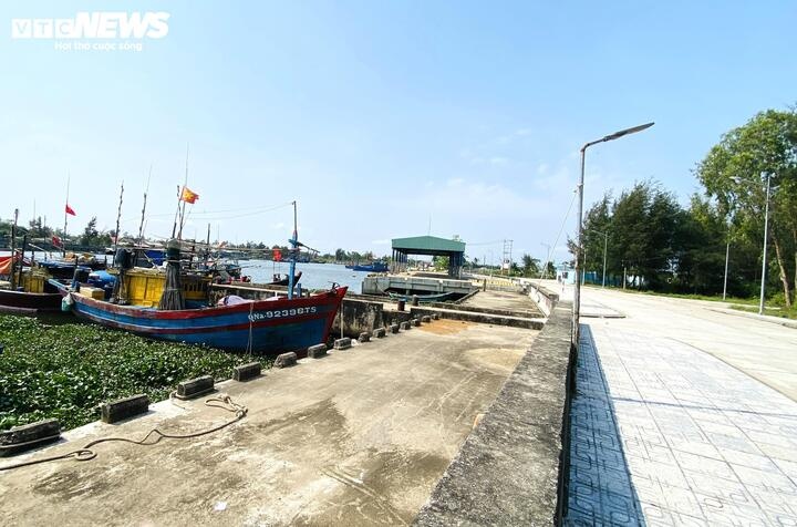 Cang ca Hong Trieu anh 3