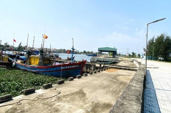 Vi sao cang ca 120 ty o Da Nang xay xong 'chi de ngam'? hinh anh