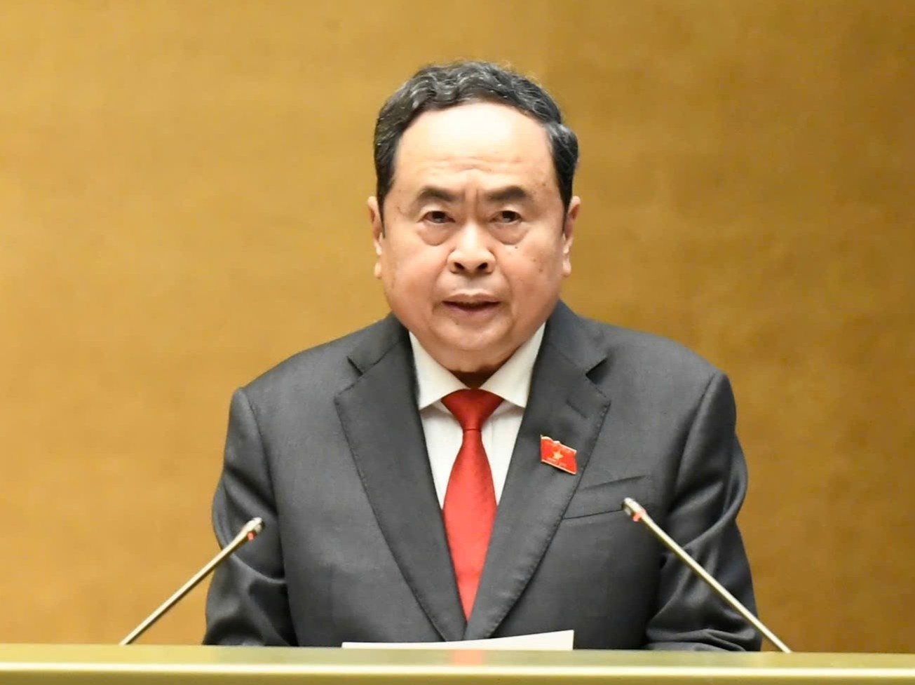 Dai bieu Quoc hoi can co kha nang phan tich, tam nhin dai han hinh anh