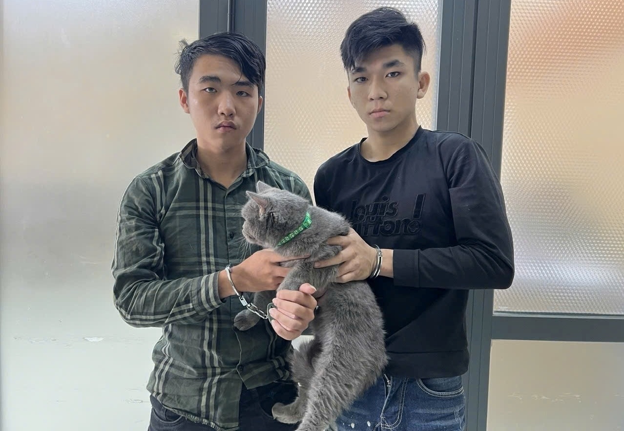 Cong an TP.HCM bat 31 ke trom cap cho, meo trong 3 thang dau nam hinh anh