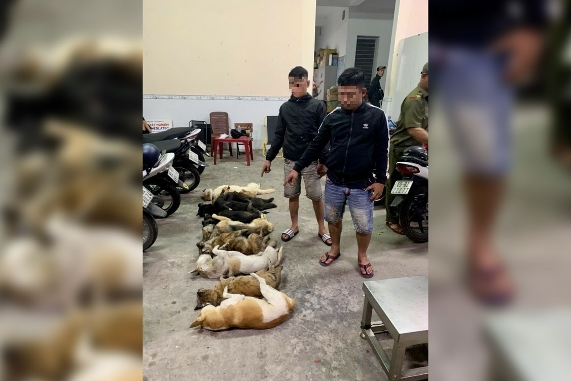 Mang sung tu che va kich dien di trom cho hinh anh