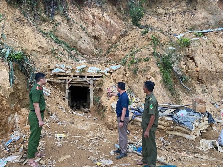 Dao vang Da Nang anh 1