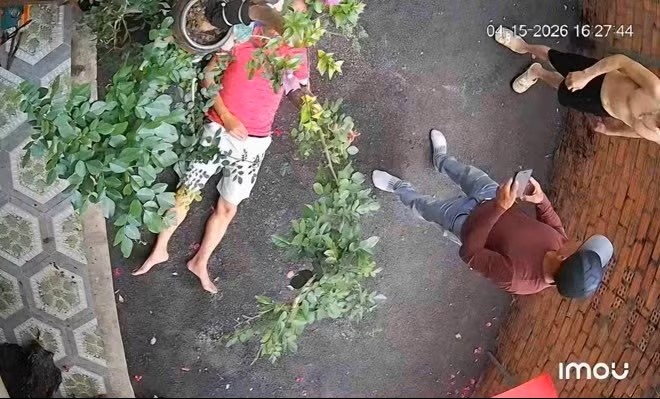 Nguoi dan ong bi hang xom danh bat tinh vi chau cay hinh anh