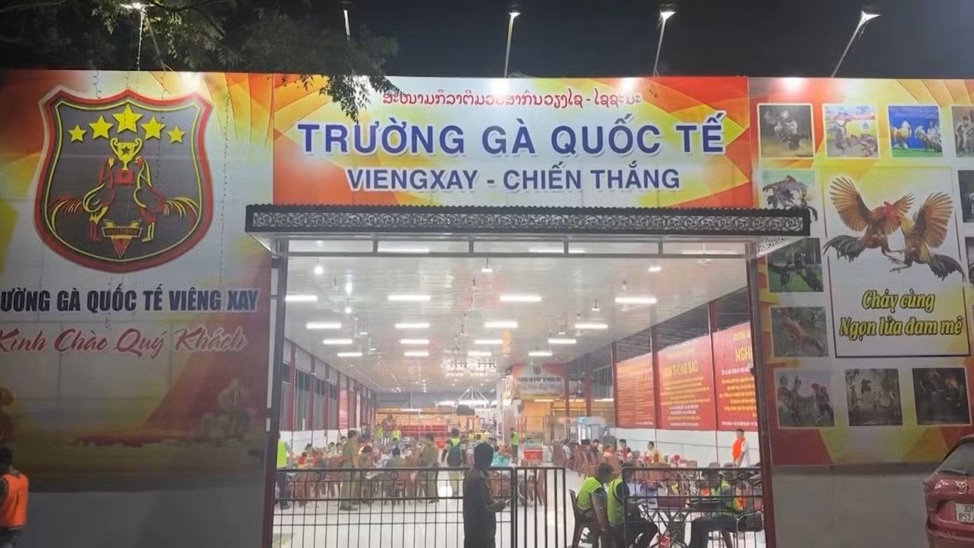 Duong day da ga anh 3