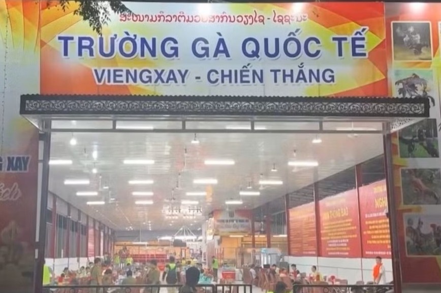 Triet pha duong day da ga xuyen quoc gia, giao dich hon 1.200 ty hinh anh