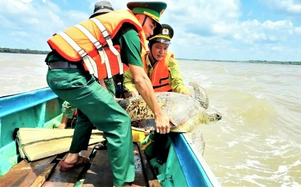 Tha ky da hoa va vich bien 60 kg ve tu nhien hinh anh