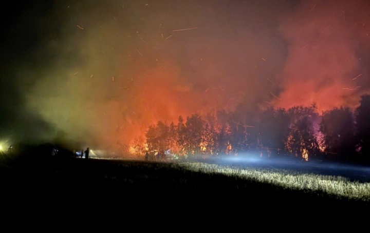 Gan 5 ha rung tram o An Giang chay rung ruc hon mot ngay hinh anh