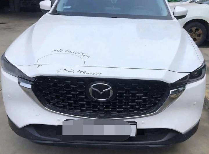 Hoang Trong Tuan anh 2