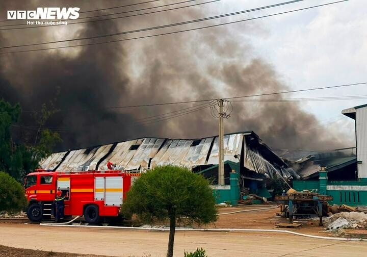 Can canh dam chay tai Khu kinh te Nhon Hoi hinh anh