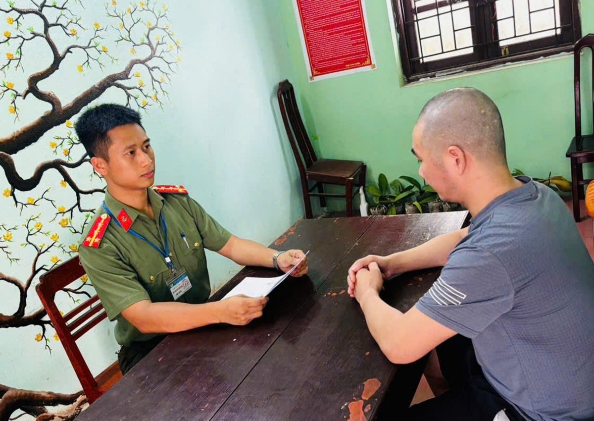 Len mang lua dao gop von mua da quy hinh anh