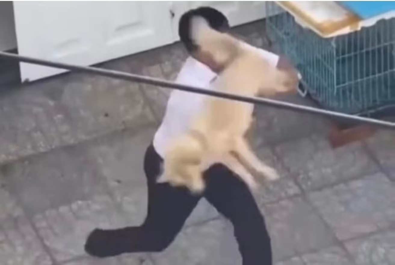 Xac minh clip nguoi dan ong duoi danh shipper hinh anh