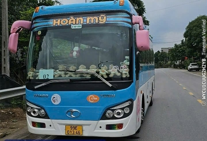 Tai xe khong bang lai cho 20 nguoi di thien nguyen len Lao Cai hinh anh