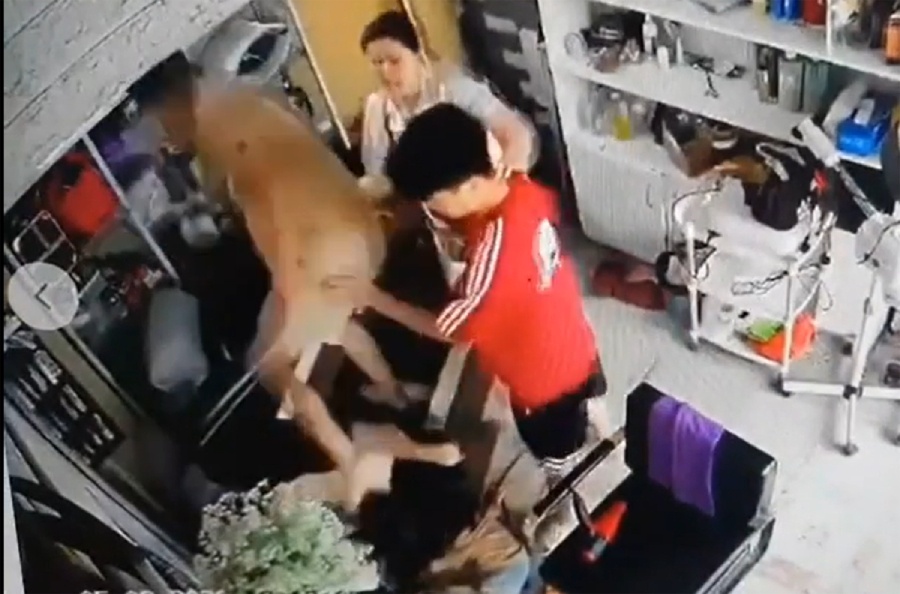 Cong an Ha Noi vao cuoc vu nguoi phu nu om con nho bi hanh hung hinh anh