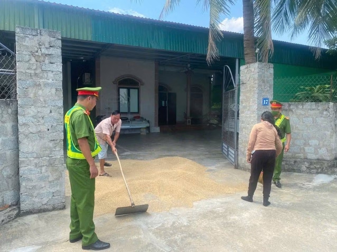 phoi lua giua duong anh 1