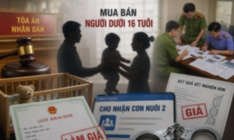 Viet kieu My hau toa vi am muu dua tre ra nuoc ngoai hinh anh