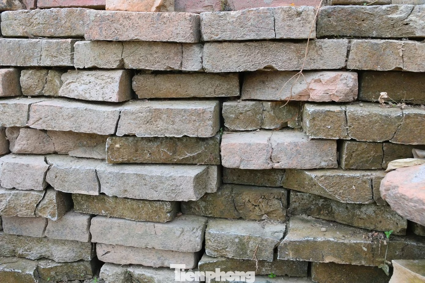 Bảo vật quốc gia ảnh 8 Bao vat quoc gia anh 8
