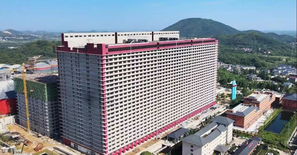 Ha Noi nghien cuu to hop chan nuoi lon cao tang tai 3 xa hinh anh
