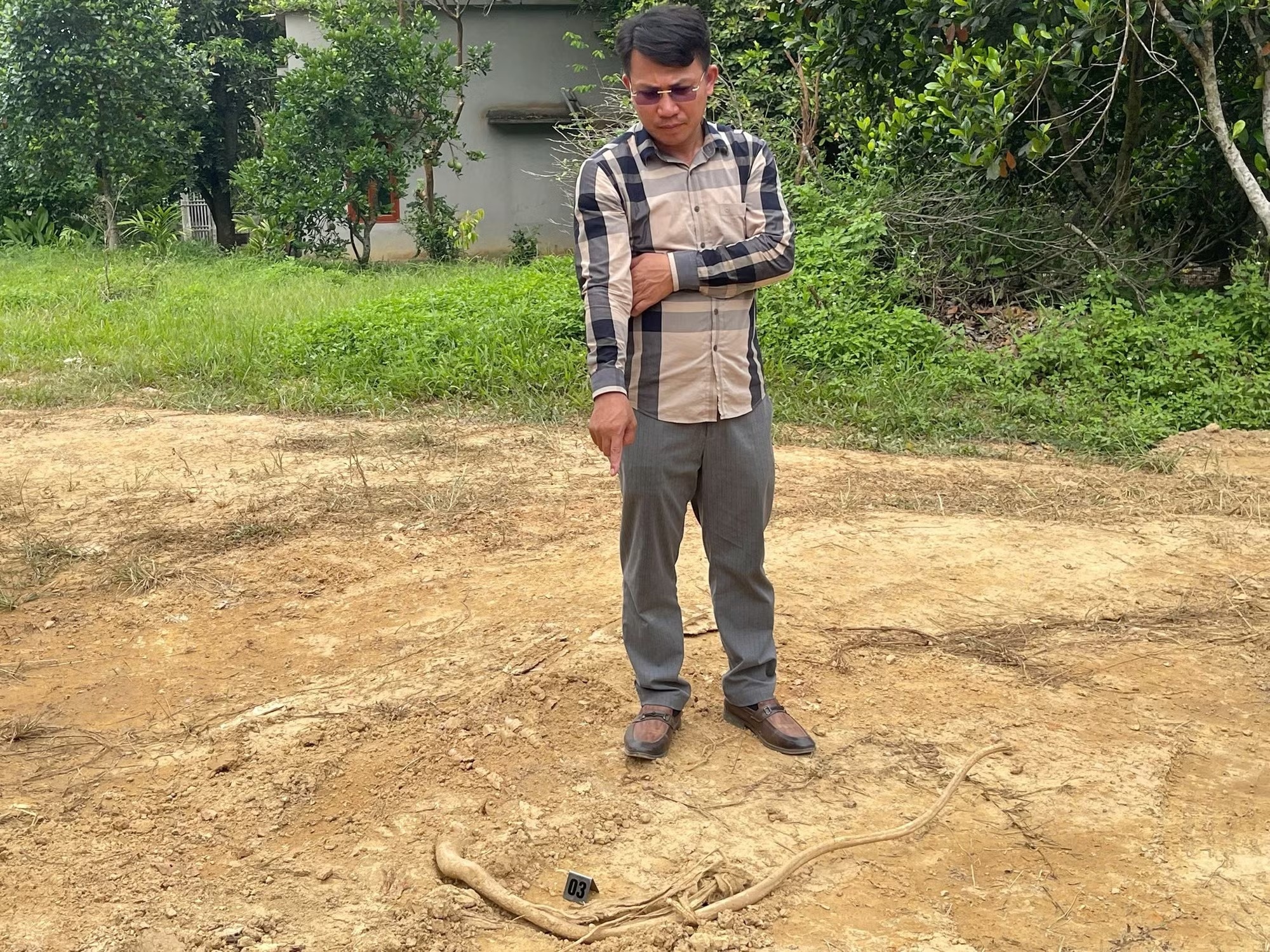 Gia danh nha bao cuong doat tai san hinh anh