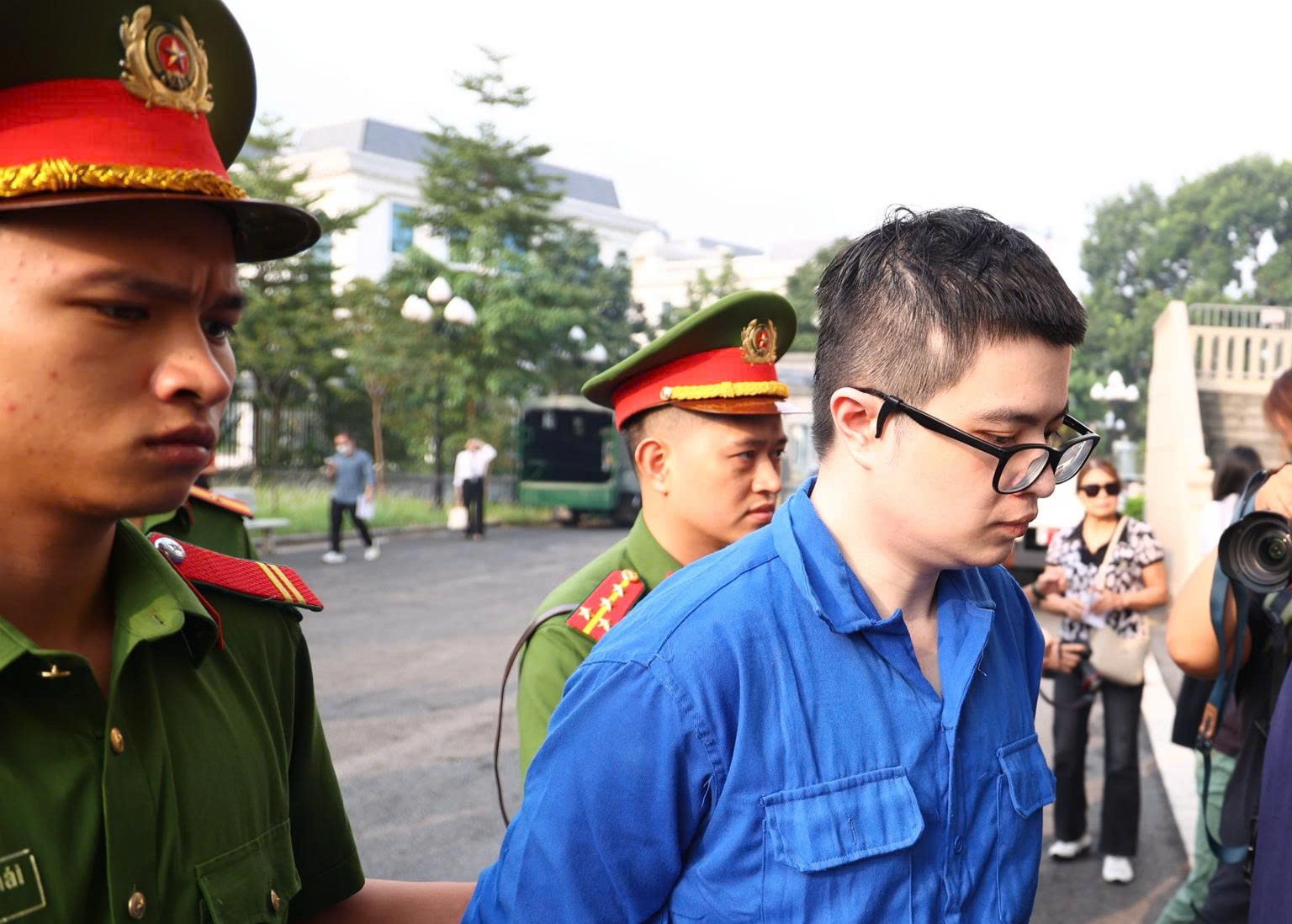 Shark B&igrave;nh,  Mr Pips ảnh 1