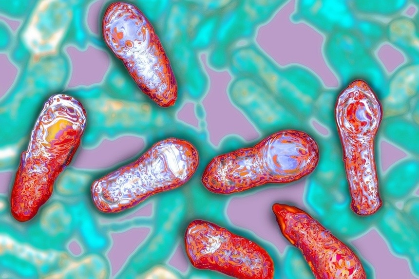 thuoc giai doc anh 3