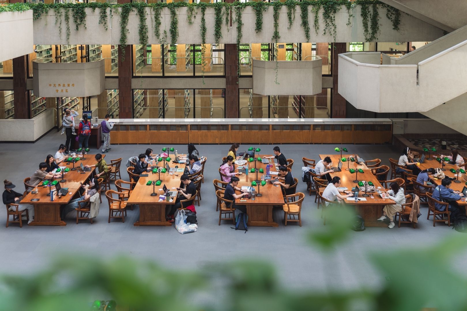 Thanh Hoa ảnh 3 Thanh Hoa anh 3