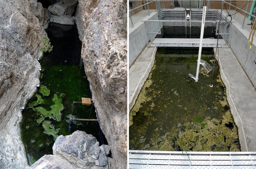 sinh vat,  bao ton anh 3