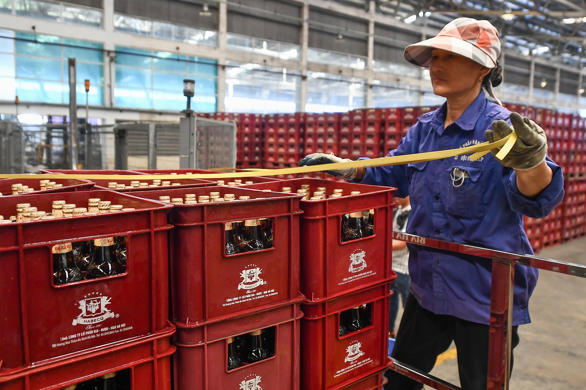 Habeco lai 48 ty dong trong quy I hinh anh