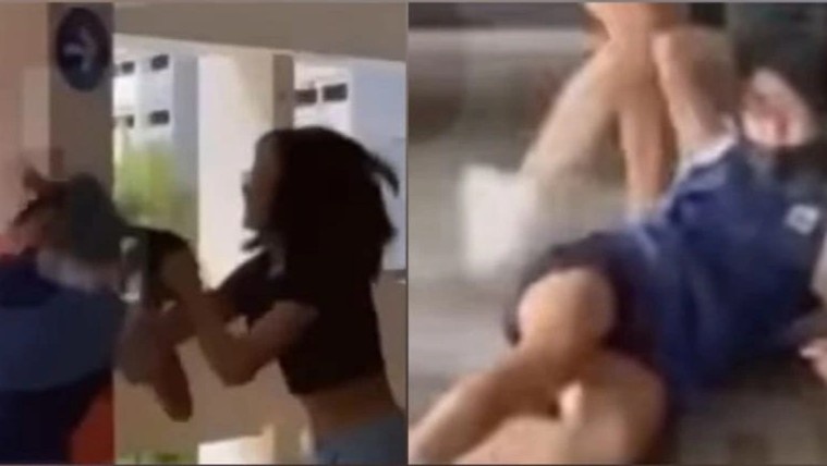 Quay lai canh bat nat dua len mang la len an hay tiep tay hinh anh