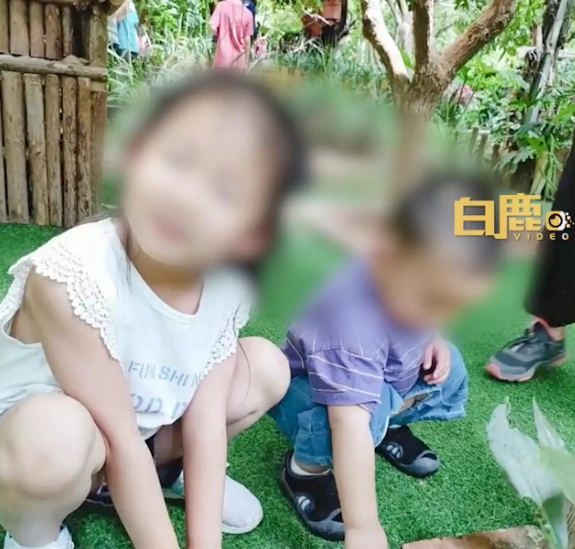 Tai hop sau ly hon anh 1