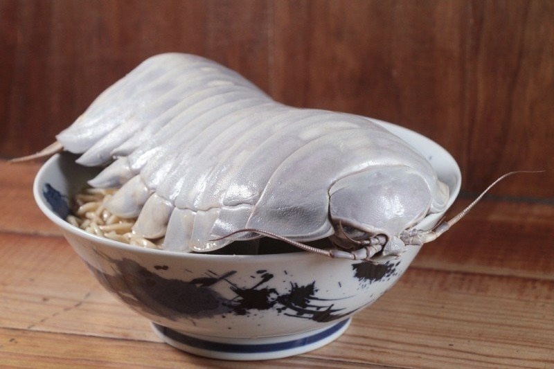 Mi ramen gay sot anh 1