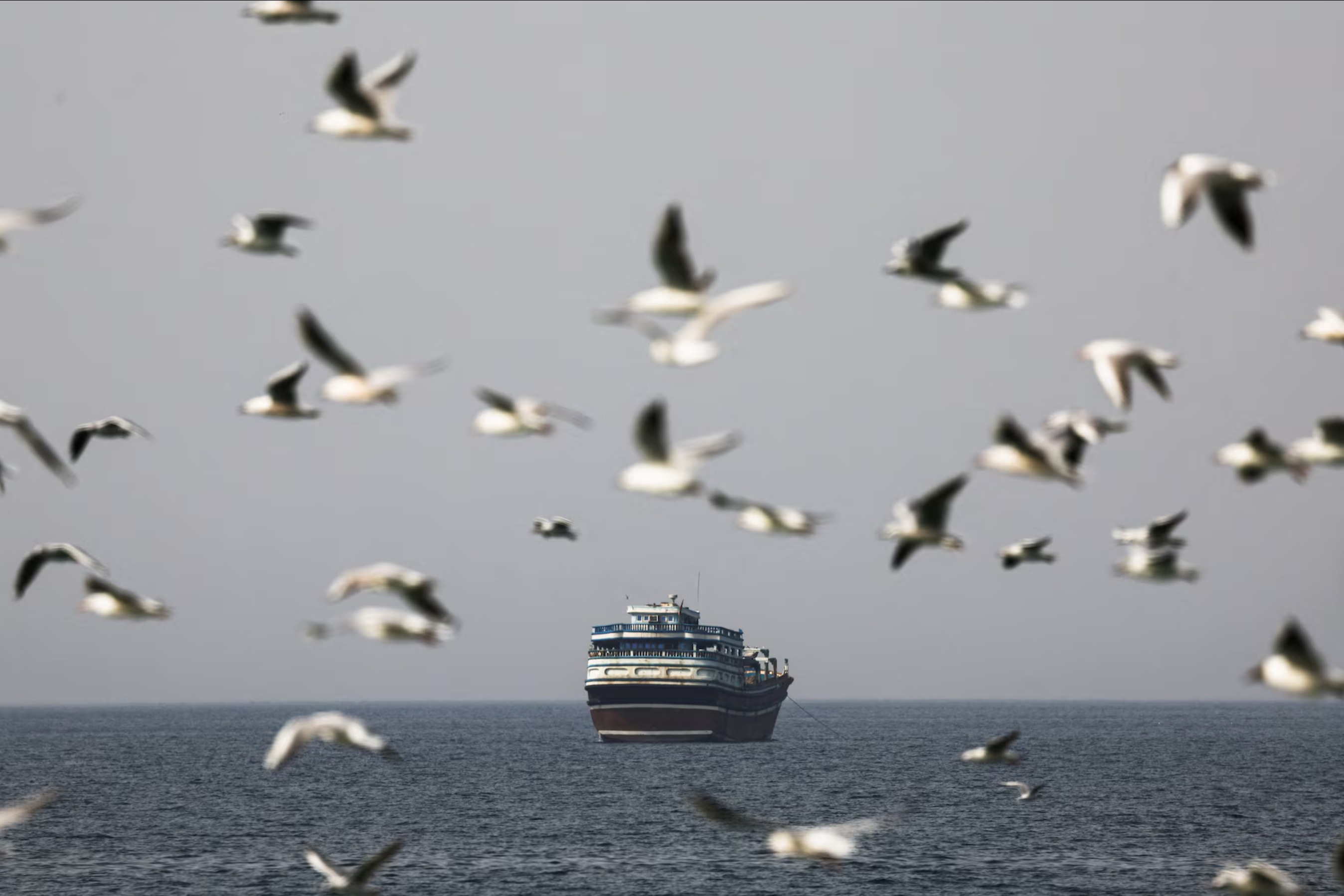 7 quoc gia tuyen bo san sang dam bao tu do hang hai qua eo bien Hormuz hinh anh