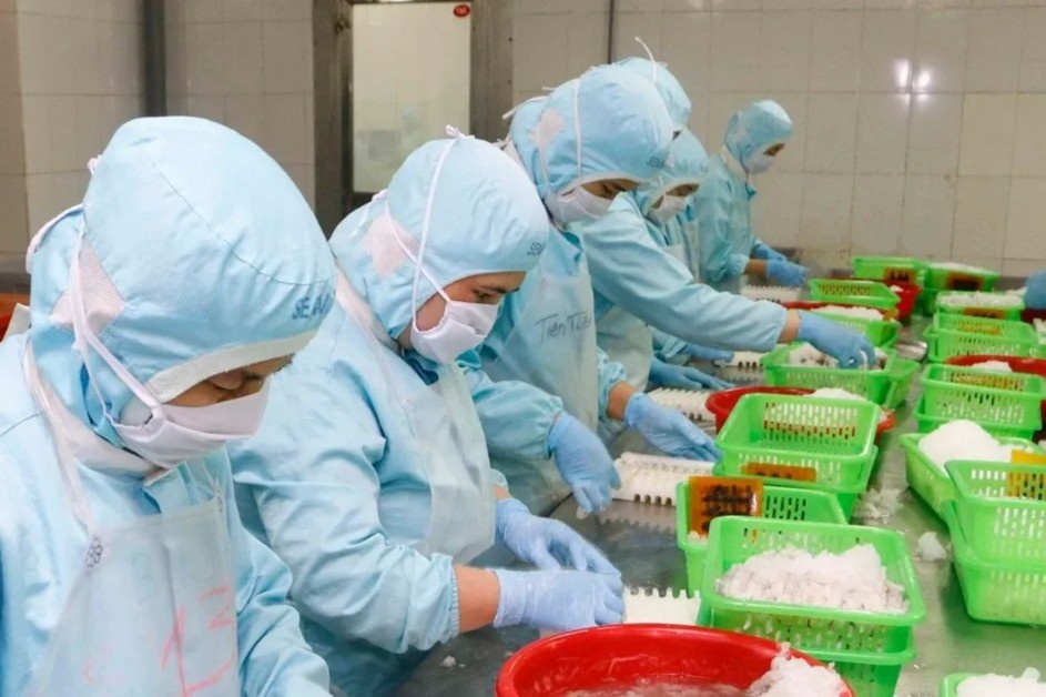 Doanh nghiep xuat khau tom 'cau cuu' hinh anh